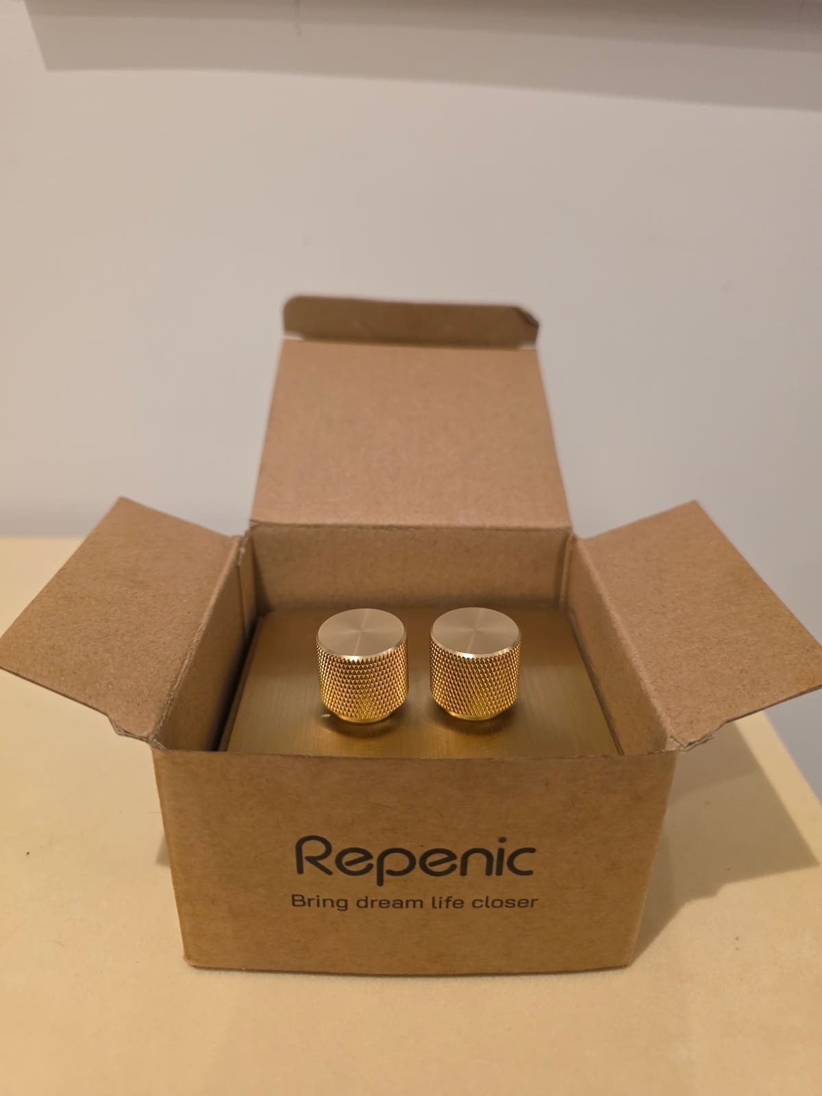 Repenic RD-250ZG box opened to show the two brass rotary dimmer knobs sitting on the module