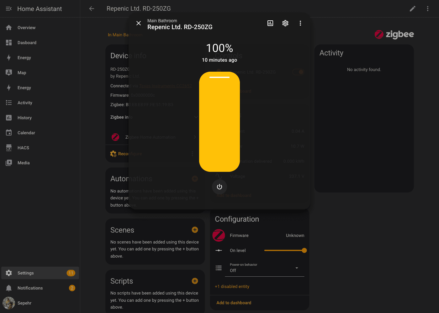 Home Assistant more-info dialog for the dimmer showing a 100 percent brightness slider and toggle