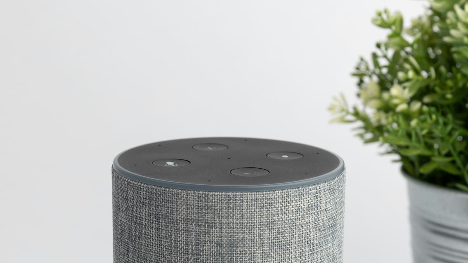 Alexa+ Early Access UK Ends 15 September: What Happens Next