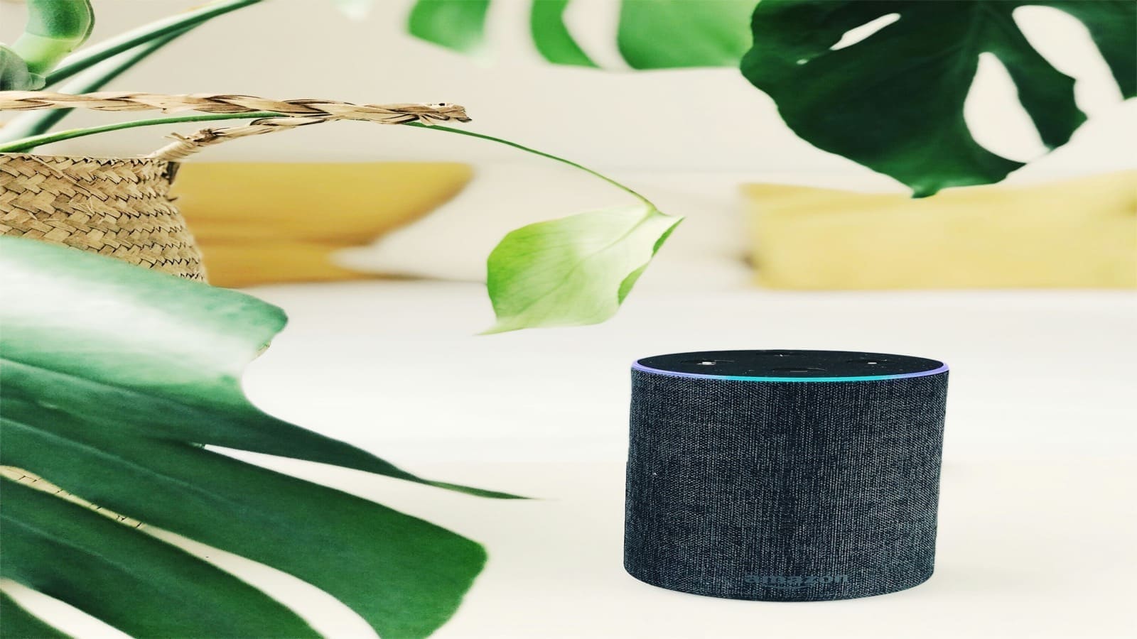 Amazon Echo UK Review: Which Echo Is Right for You?