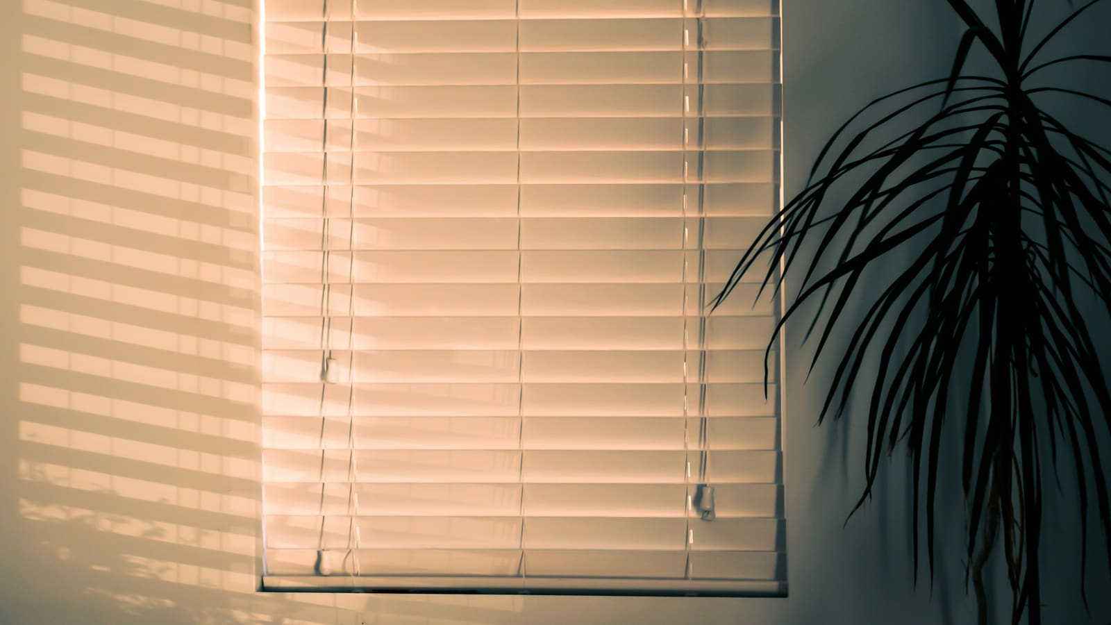 Best Smart Blinds UK (2026): 5 Picks for Every Window