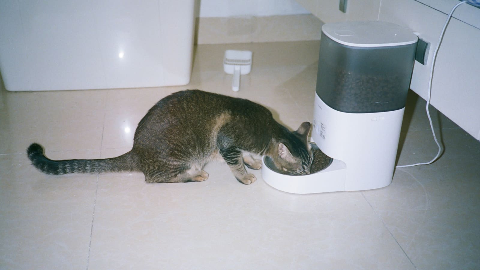 Best Smart Pet Feeder UK (2026): 5 Picks Compared