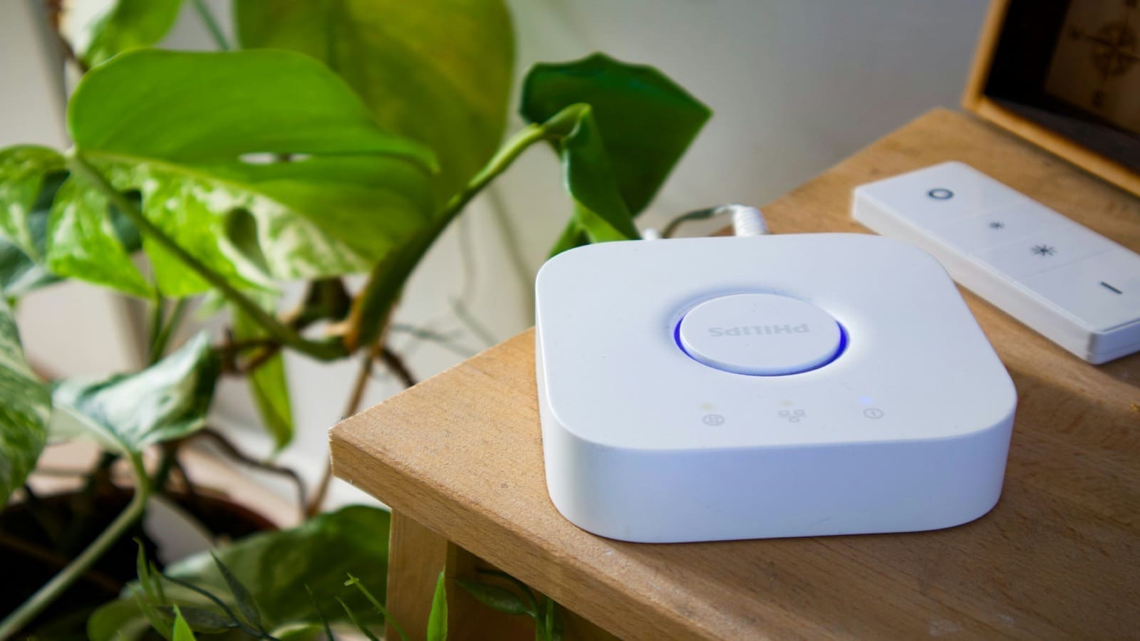 Matter Setup in Home Assistant (2026)