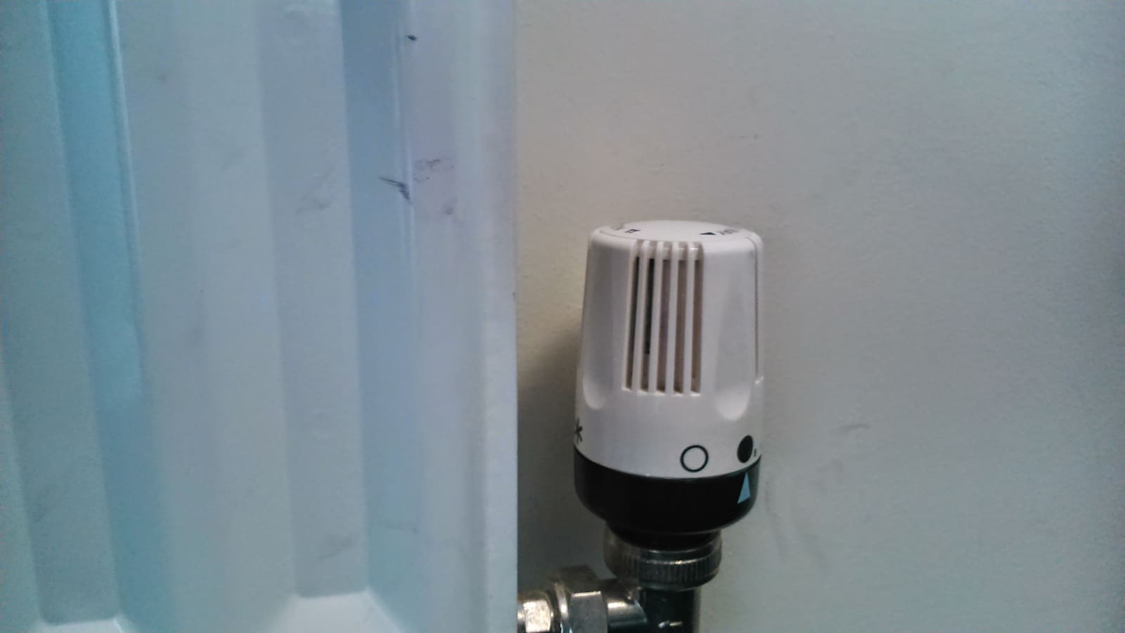 Thermostatic radiator valve head mounted on a white radiator pipe